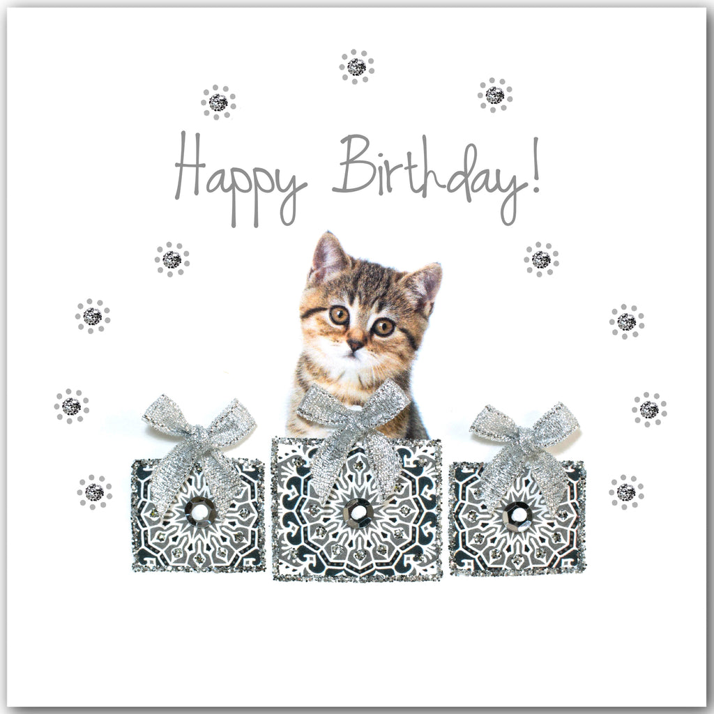 Birthday Tabby Kitten - L1852