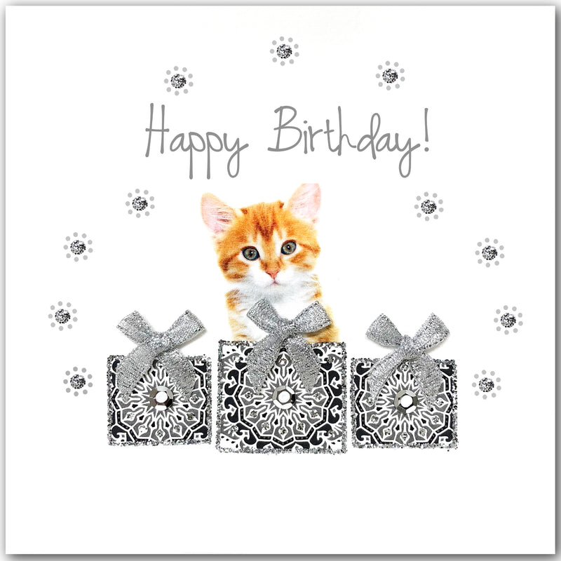 Birthday Ginger Kitten - L1850